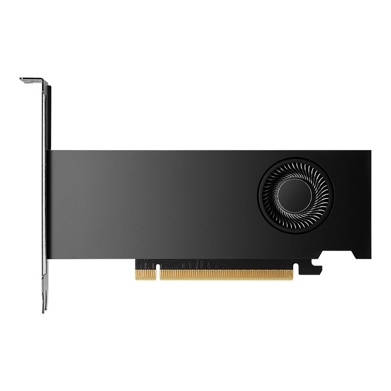 PNY NVIDIA RTX 2000 Ada-Gen 16GB GDDR6 ECC Pro GP - Image 2