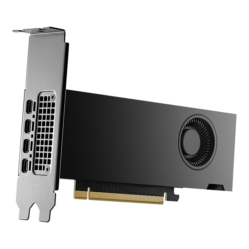 PNY NVIDIA RTX 2000 Ada-Gen 16GB GDDR6 ECC Pro GP - Image 3